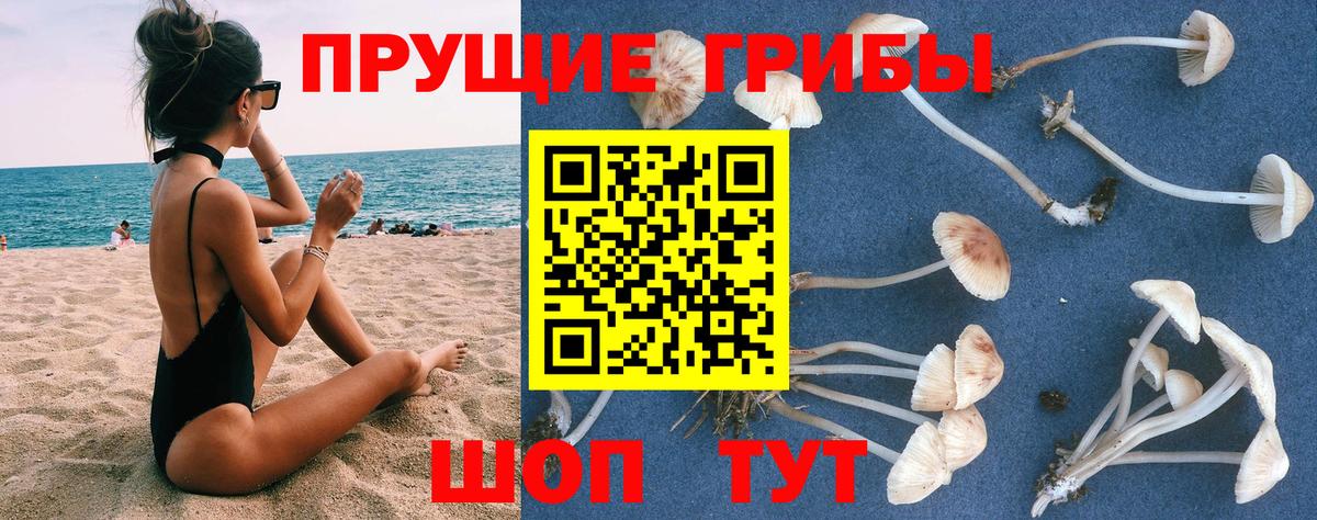 Псилоцибиновые грибы ЛСД Казань